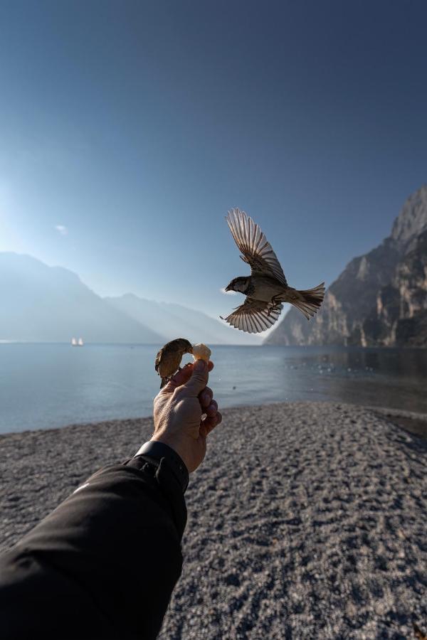 Le Calle Holiday Apartments Torbole Sul Garda Ngoại thất bức ảnh